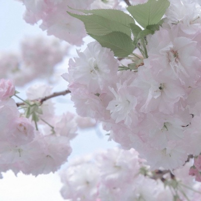 Furry插画构图思路福瑞群